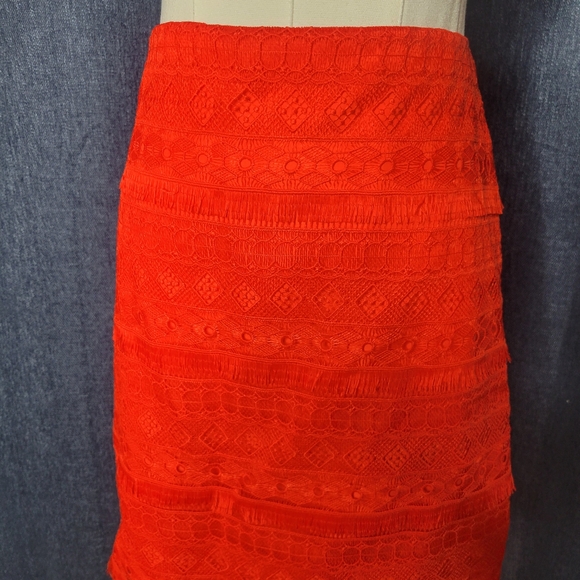 NWT J Crew Embroidered Skirt Orange/red Size 6 Fringe Lace - Picture 2 of 8